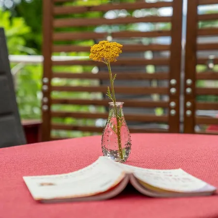 Im Garten - Haus Daniela アパート *